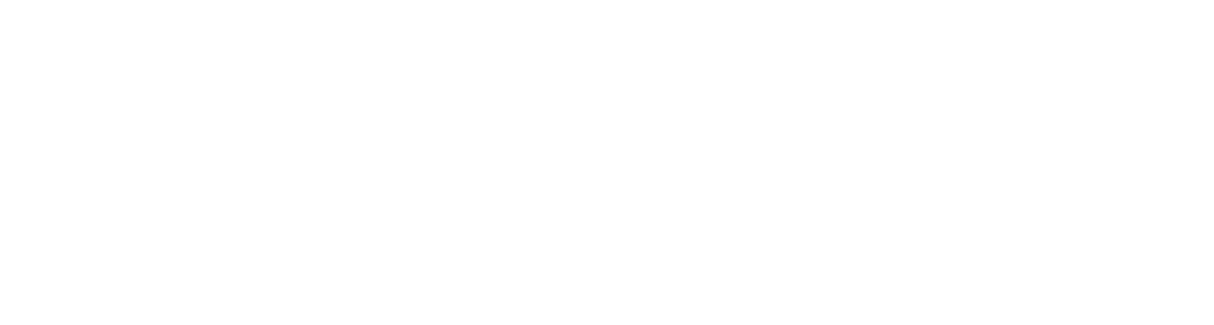 Formiga Digital